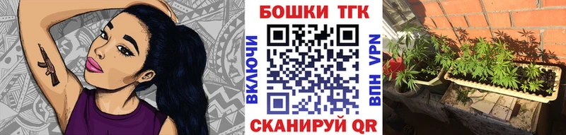 Конопля марихуана Чаплыгин